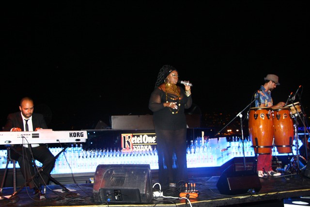 IDRAAC Fundraising Event